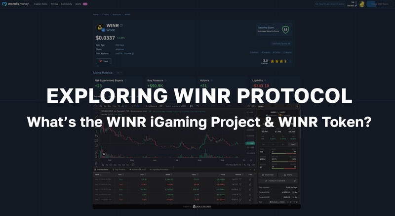 What’s the WINR Protocol iGaming Infrastructure and WINR Token?